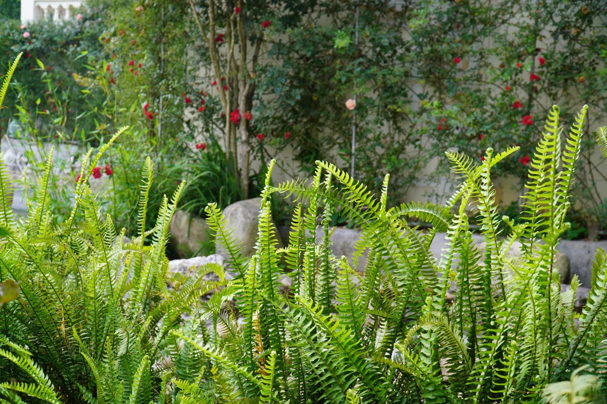Sapa Highland Resort & Spa Esterno foto