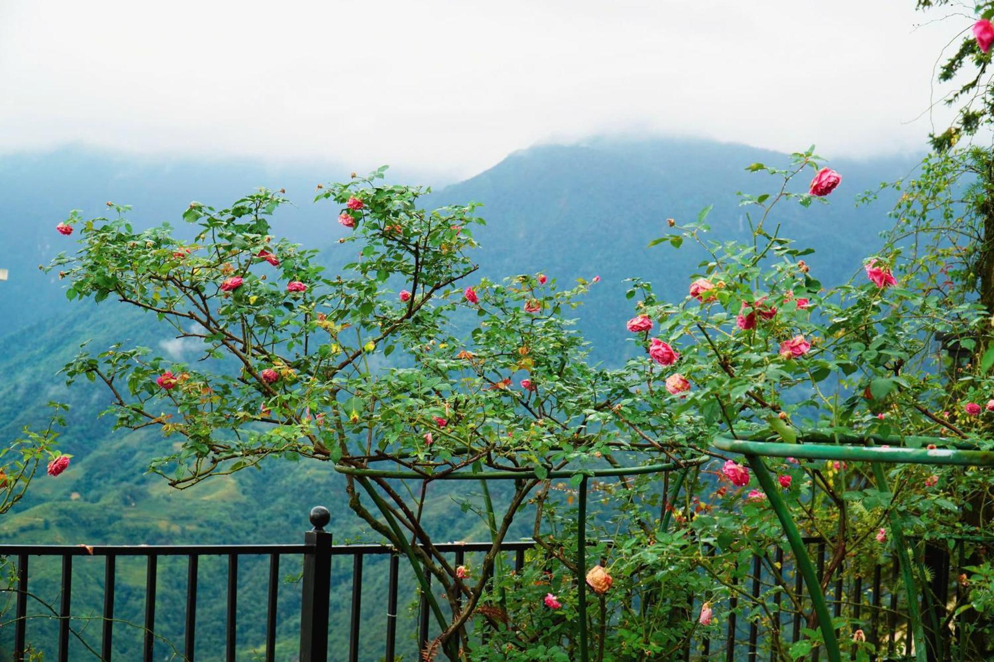 Sapa Highland Resort & Spa Esterno foto